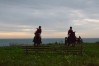 DSC_0489 2.JPG